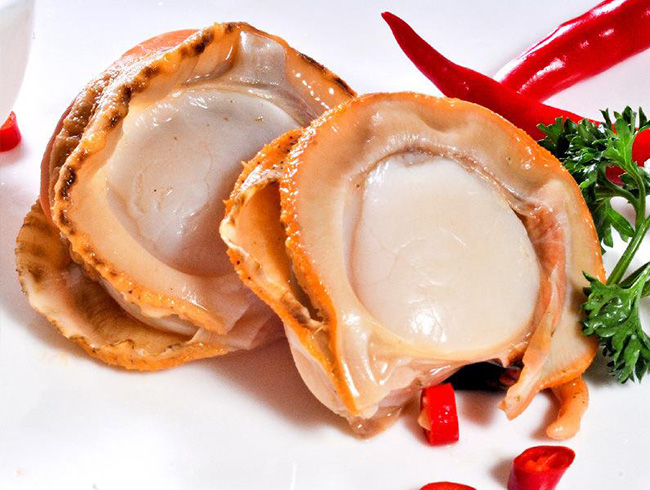 Scallop meat
